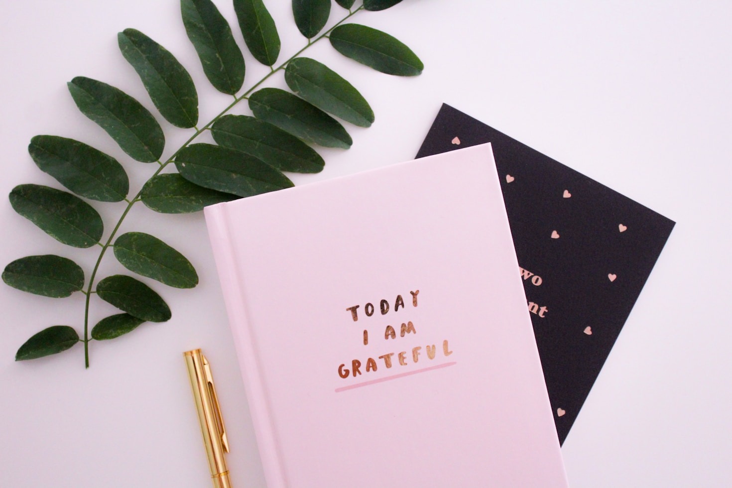 Why Telling Your Story Matters